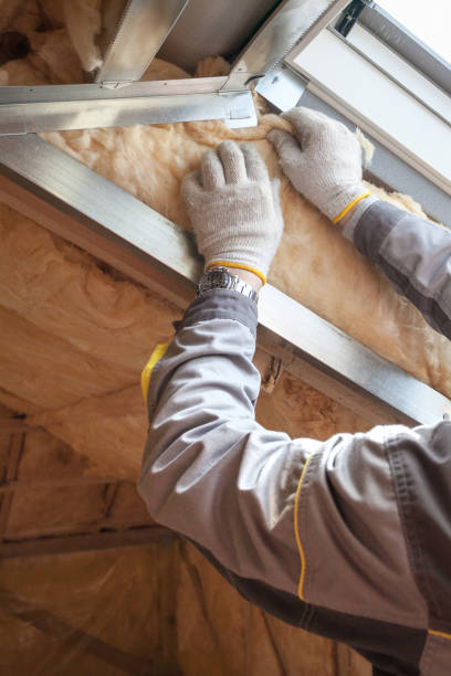 Types of Insulation We Offer in Port Isabel, TX